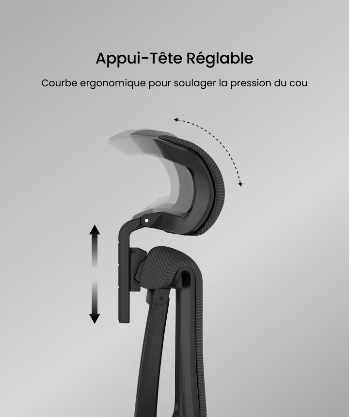 Appui-tête réglable de la Flexispot C7