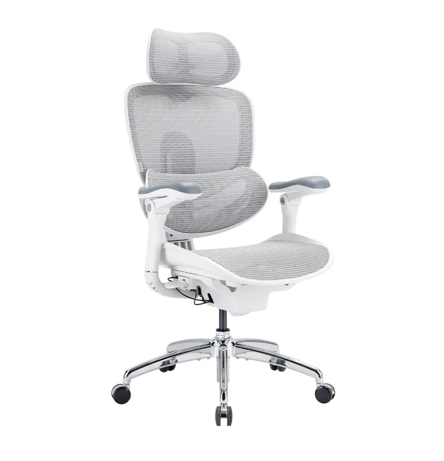 Chaise de bureau ergonomique Sihoo Doro C300 Pro V2 blanche et grise avec accoudoirs 8D